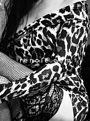 aventure nocture