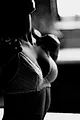 Gaby_rose