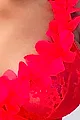 Sexy rose