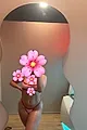 Lysaa