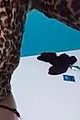 Yvelinelarosémassage