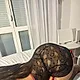 Lina_666