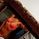 Sexiesphotos