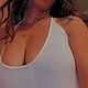 INES.S
